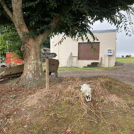 The Treehut Villa Ohauiti Exterior photo