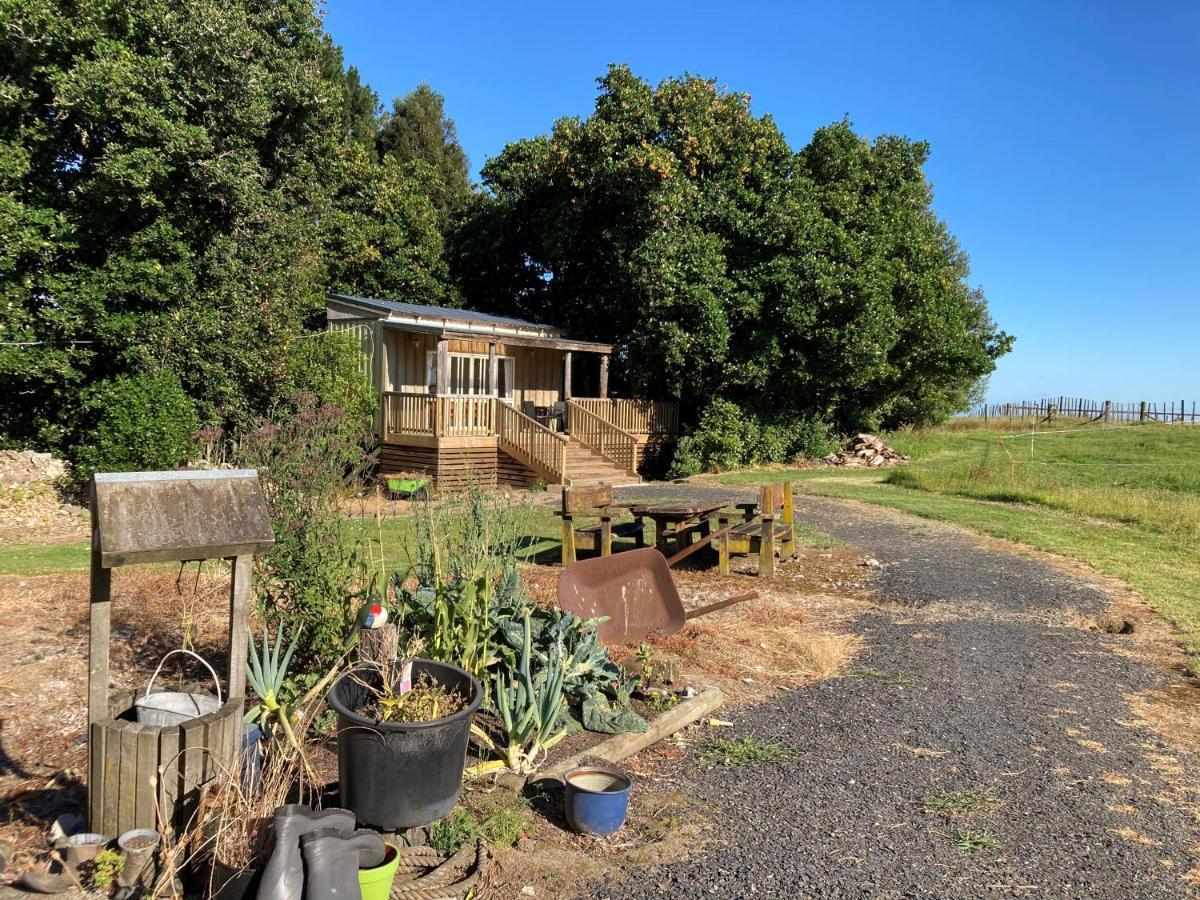 The Treehut Villa Ohauiti Exterior photo